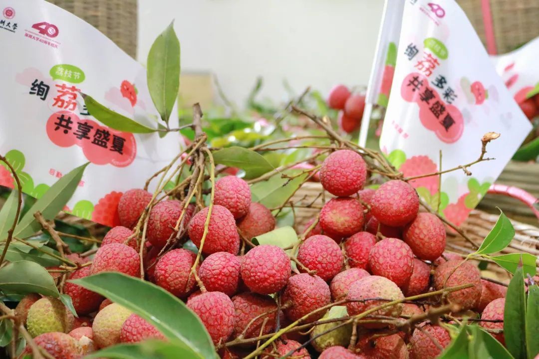 看完《我的阿勒泰》，想去新疆的心情达到顶峰！