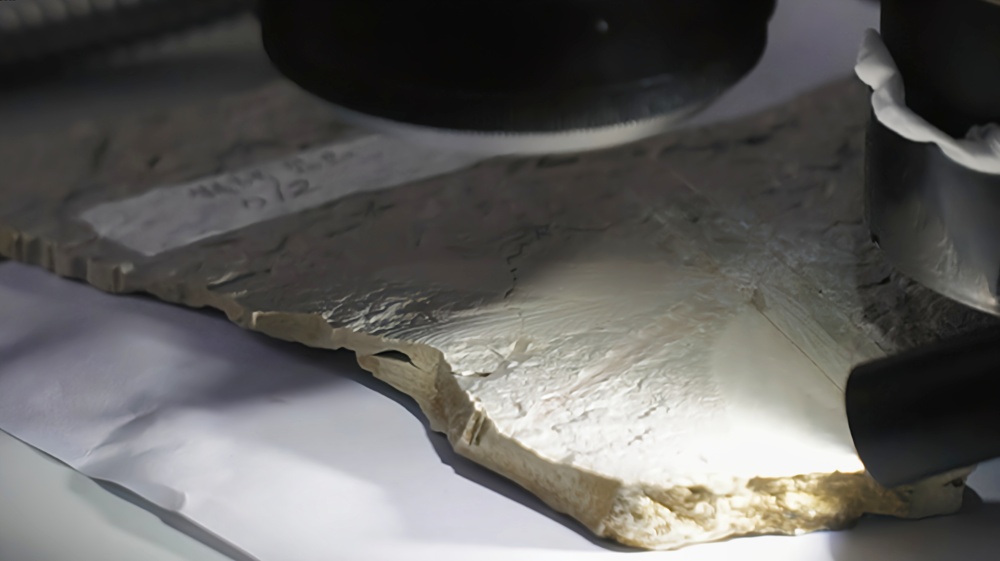 距今1.65亿年的它,有名字了→ 距今1.65亿年的它,有名字了→