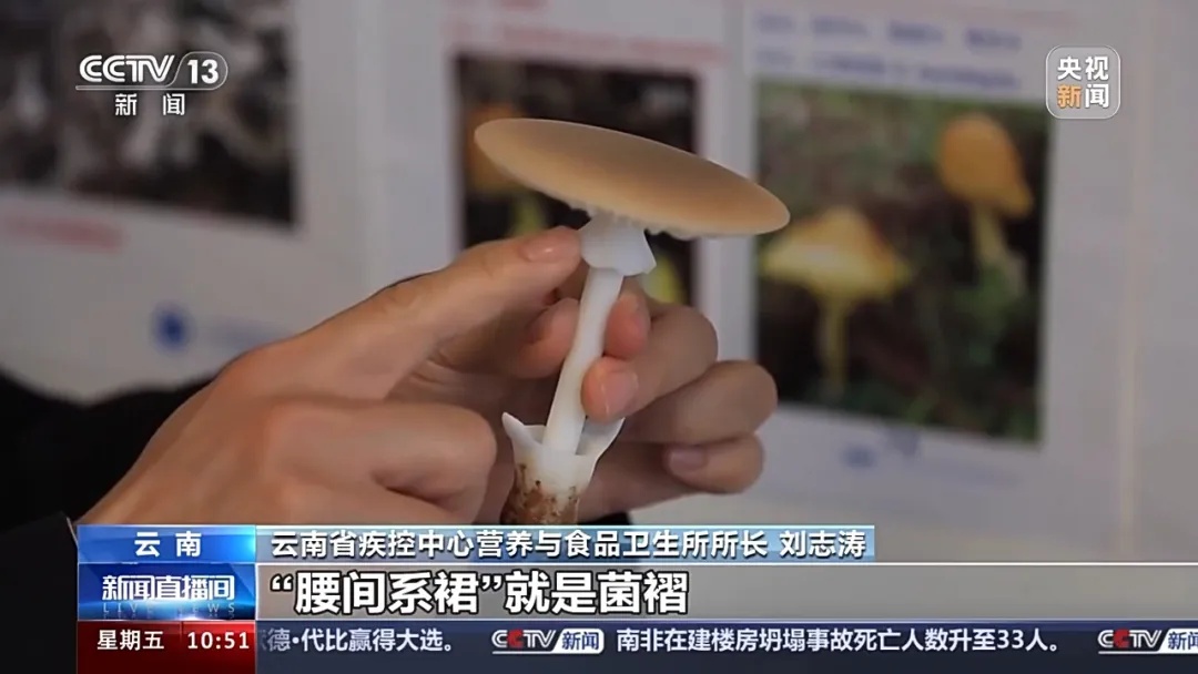 云南这东西一上市,央视都操碎了心…… 云南这东西一上市,央视都操碎了心……