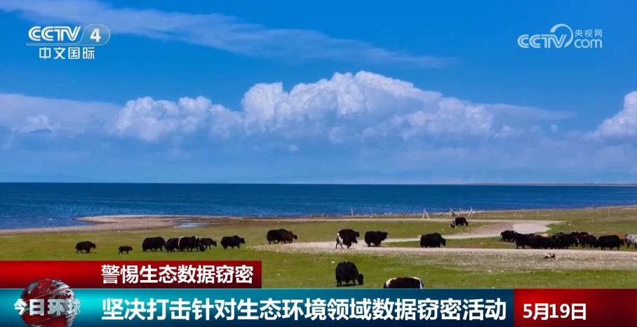 “握指成拳”提高警惕 坚决打击针对生态环境领域数据窃密活动