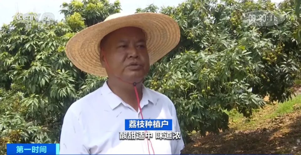 你爱吃的它,即将上市!还在树上就被买走?是啥这么火? 你爱吃的它,即将上市!还在树上就被买走?是啥这么火?