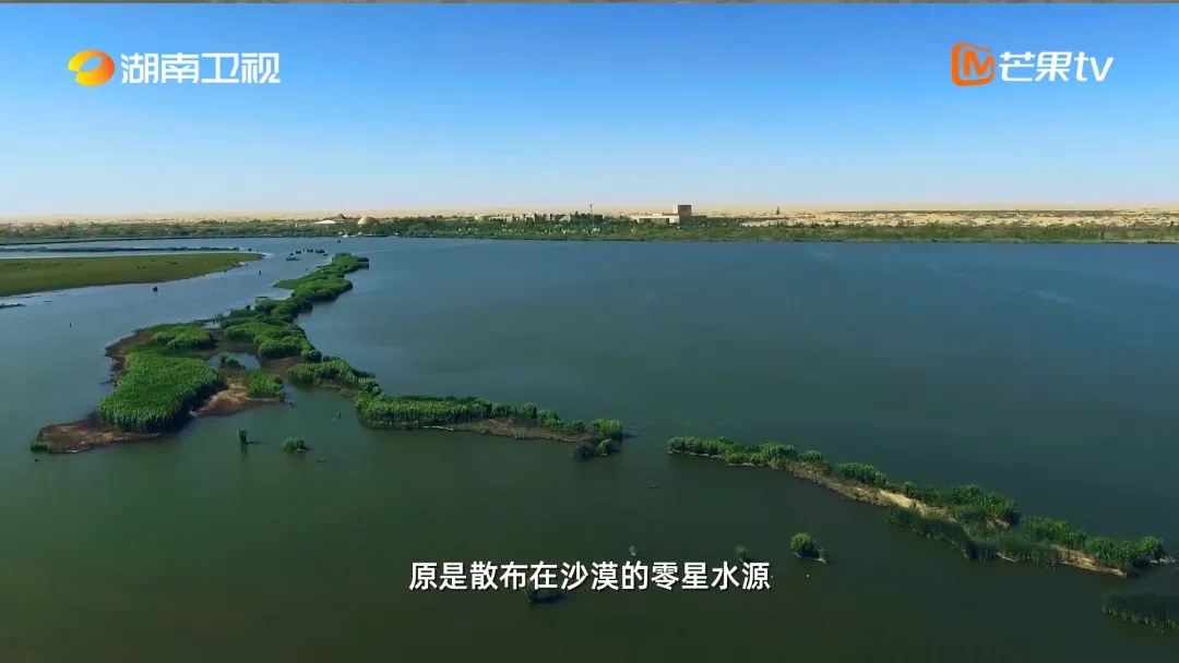 小伙在沙漠种树,造出一片蓝色的“海”! 小伙在沙漠种树,造出一片蓝色的“海”!