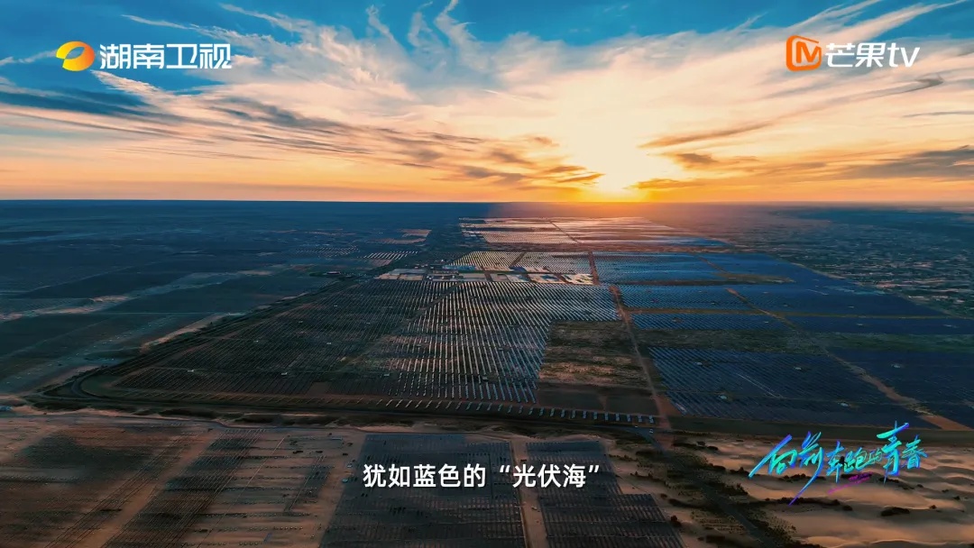 小伙在沙漠种树,造出一片蓝色的“海”! 小伙在沙漠种树,造出一片蓝色的“海”!