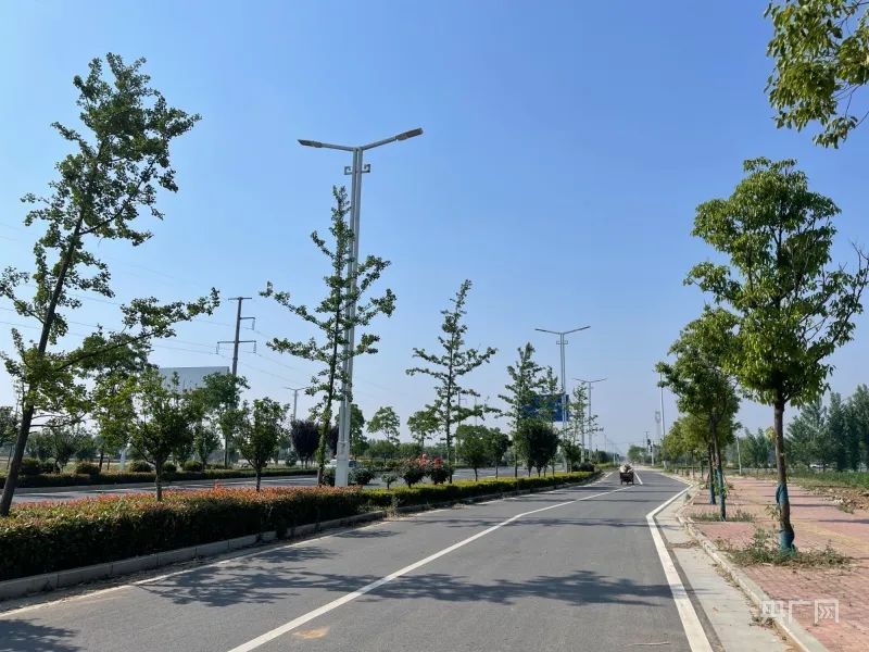 调查结果公布！3岁男童被狗咬伤18天后身亡，为何接种了疫苗还是“无效”？