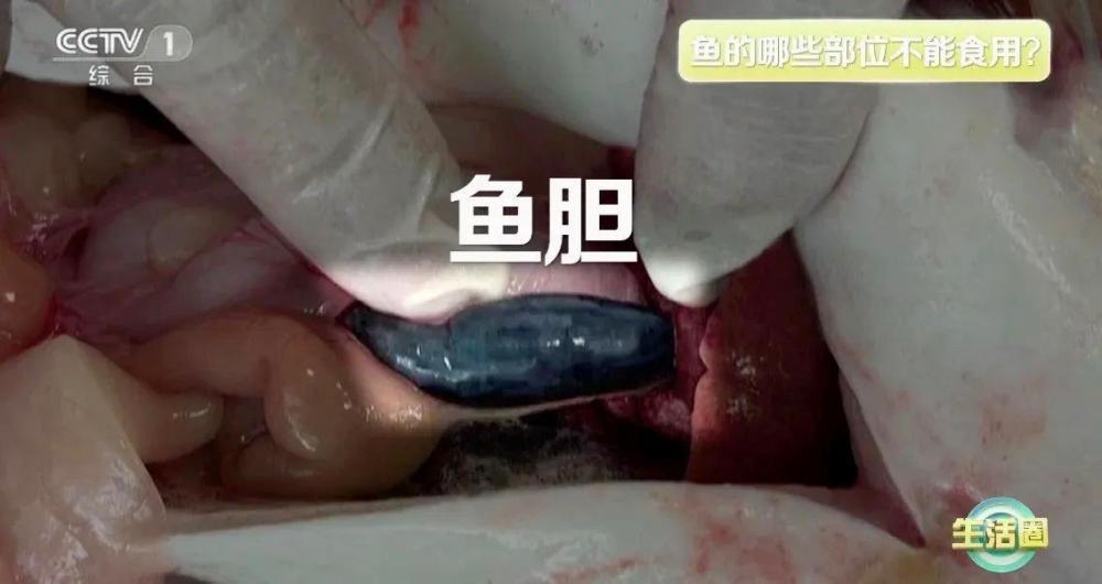 想长寿先学会“吃”!吃对这6种食物 心血管健康又长寿 想长寿先学会“吃”!吃对这6种食物 心血管健康又长寿