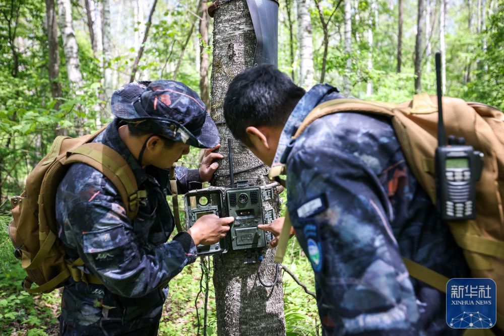 长白山“守山人”：只此青绿“长相守”