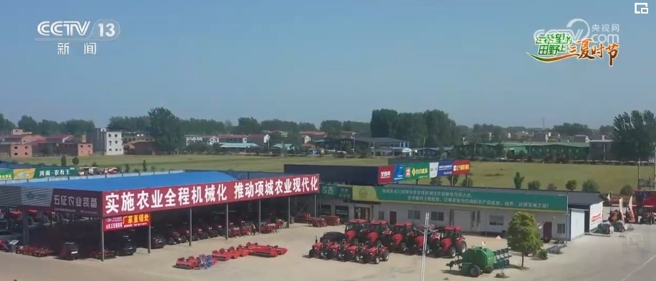 感知“三夏”变化!吃好吃健康 “小麦之乡”的多彩小麦颜值高、有内涵 感知“三夏”变化!吃好吃健康 “小麦之乡”的多彩小麦颜值高、有内涵