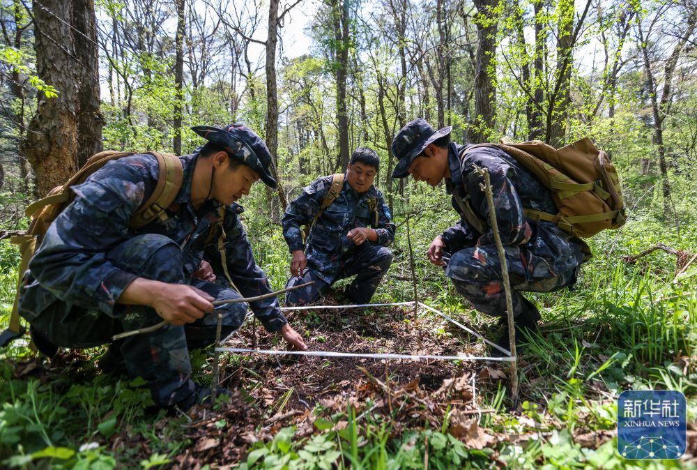 长白山“守山人”：只此青绿“长相守”