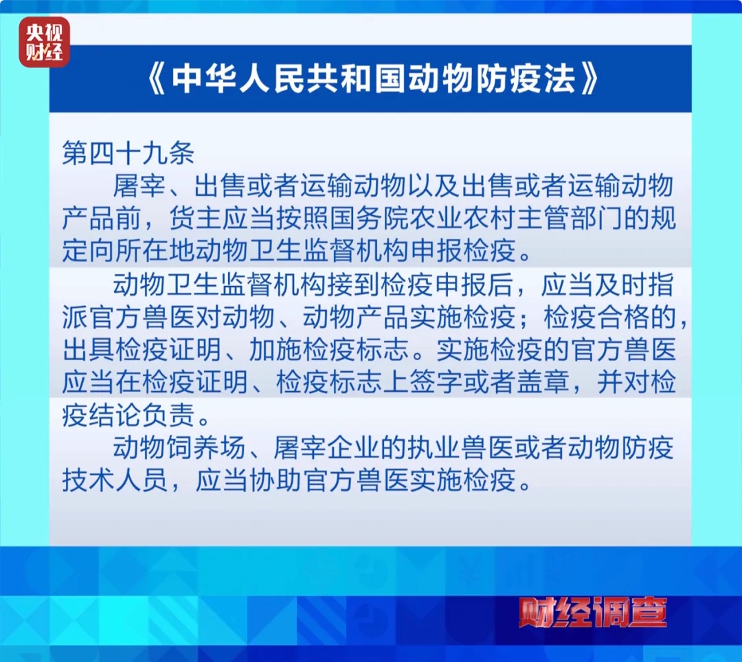 “到家一周就去世”?直播间销售宠物套路多多,通报:停业整顿,立案调查! “到家一周就去世”?直播间销售宠物套路多多,通报:停业整顿,立案调查!