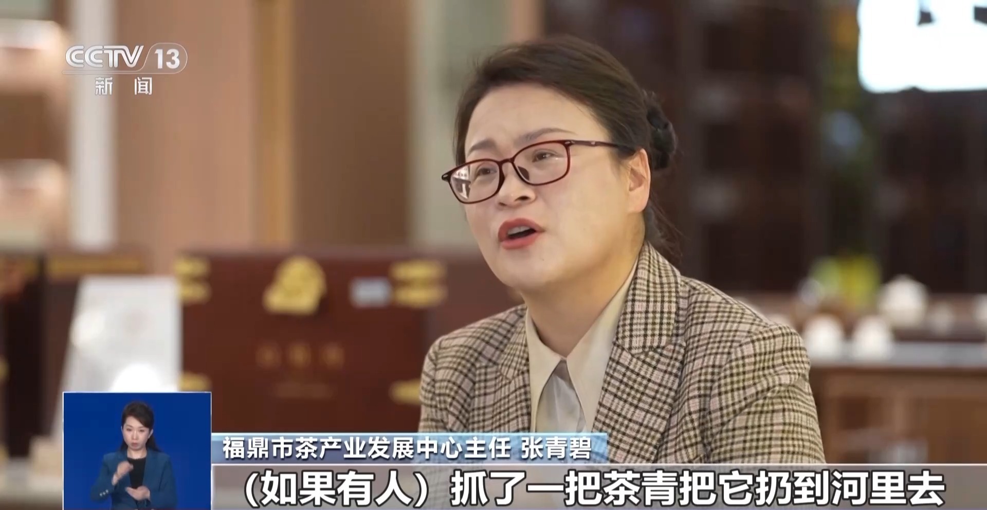 为博眼球无底线！福鼎白茶被造谣