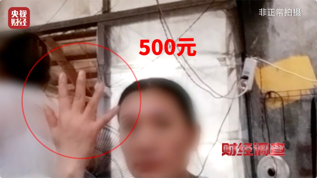 “到家一周就去世了”，直播间销售宠物背后有何秘密？