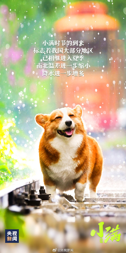 小满恰逢520，一起迎接！