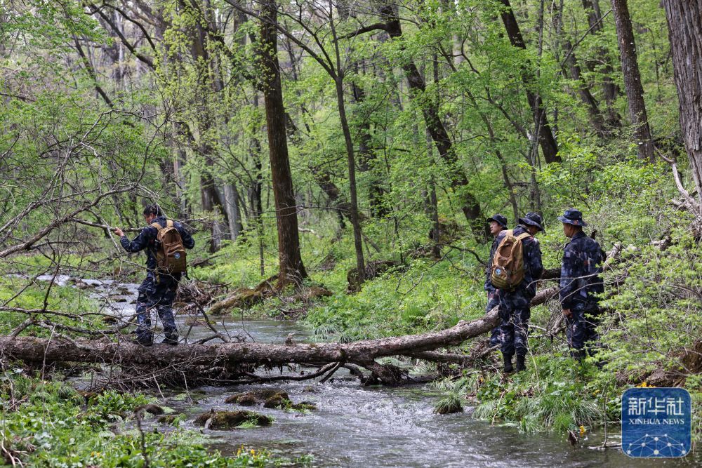 长白山“守山人”：只此青绿“长相守”