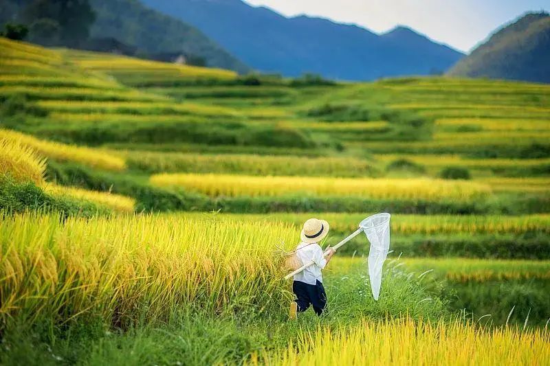 今日20时59分,正式进入 今日20时59分,正式进入