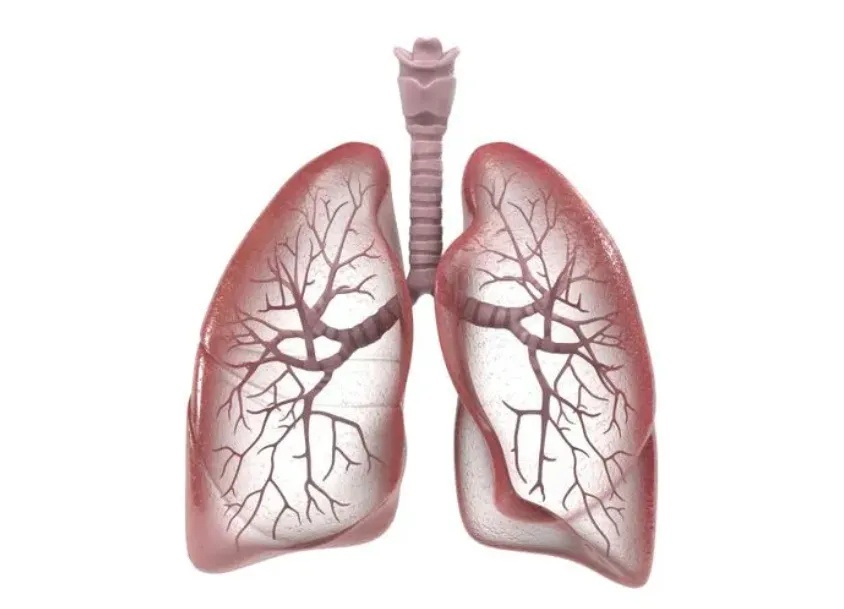 坚持锻炼2个月，你的呼吸肌会大不一样，中老年必看！