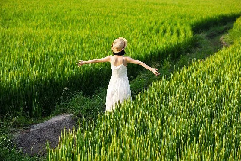 今日20时59分,正式进入 今日20时59分,正式进入