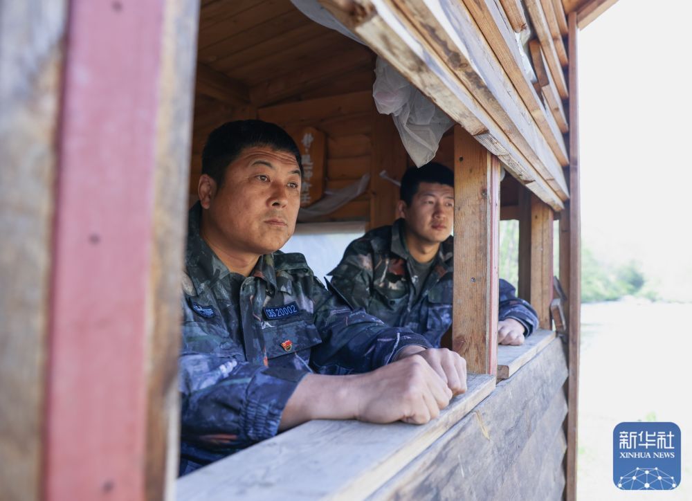 长白山“守山人”：只此青绿“长相守”