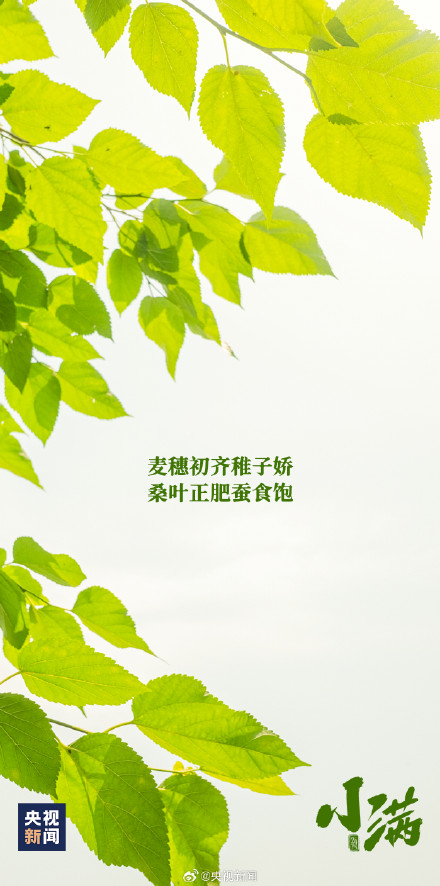 小满恰逢520，一起迎接！