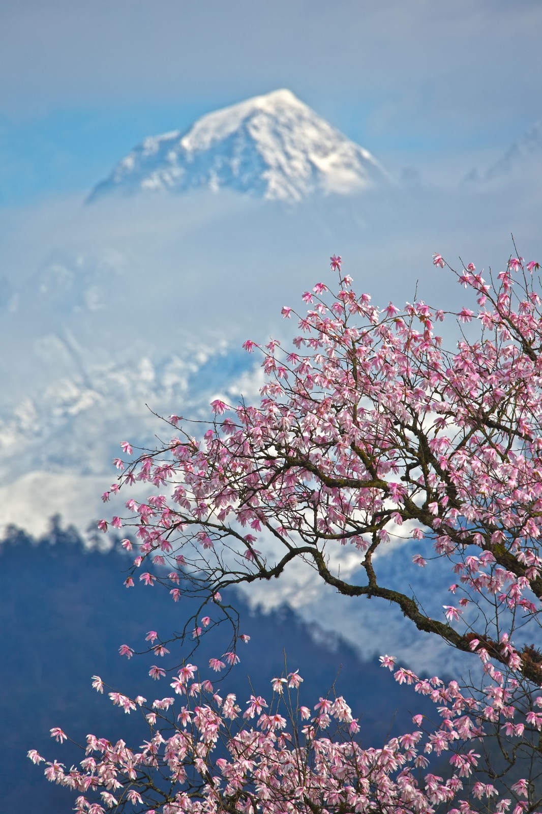 杭州户籍，免费！101个A级景区，走起！