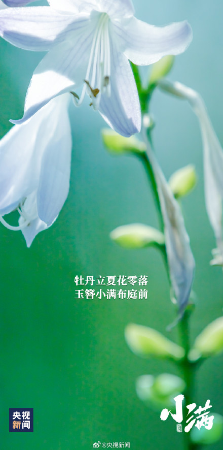 小满恰逢520，一起迎接！