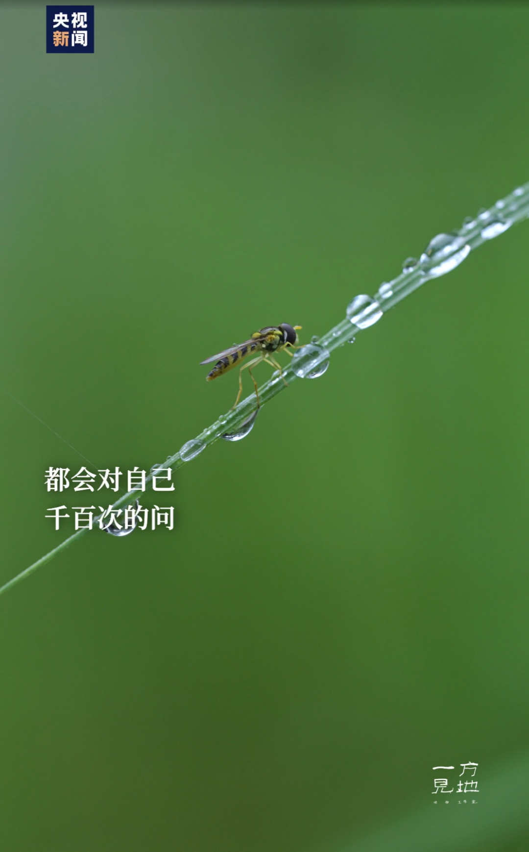 今日20时59分,正式进入 今日20时59分,正式进入