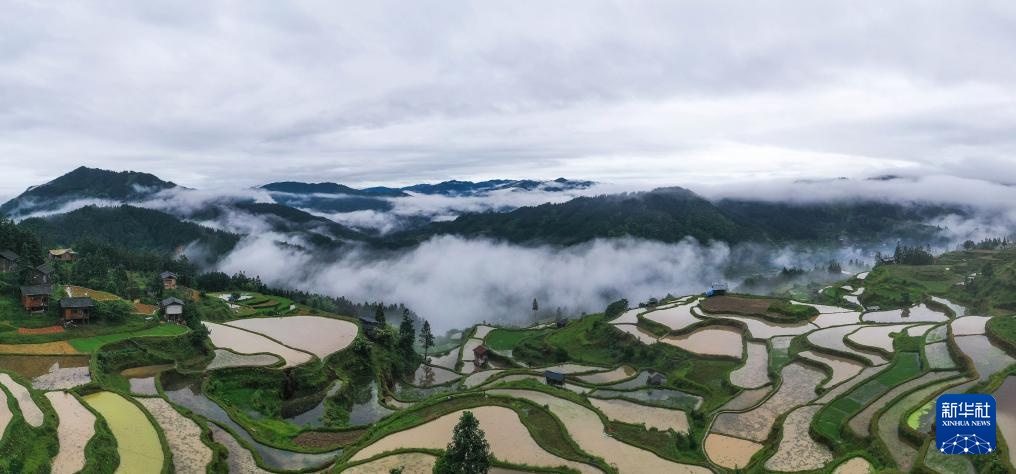 梯田新雨后 美景入画来 梯田新雨后 美景入画来