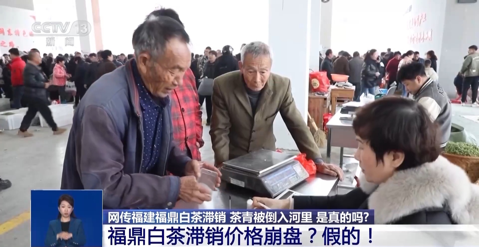 为博眼球无底线！福鼎白茶被造谣