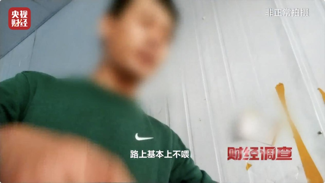 “到家一周就去世了”，直播间销售宠物背后有何秘密？