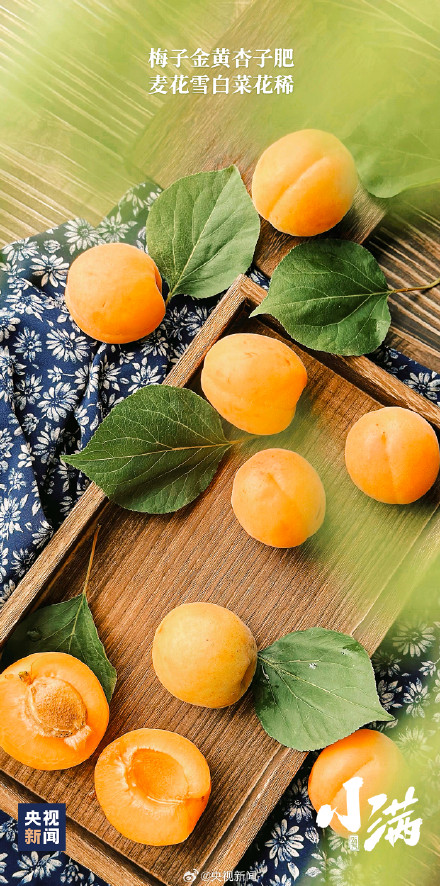 小满恰逢520，一起迎接！