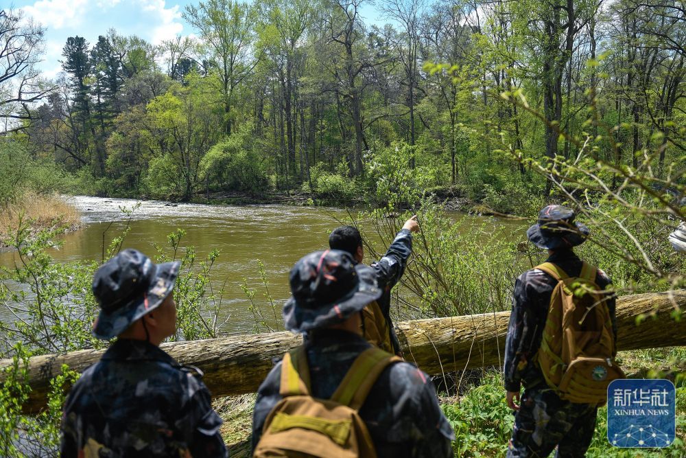 长白山“守山人”：只此青绿“长相守”