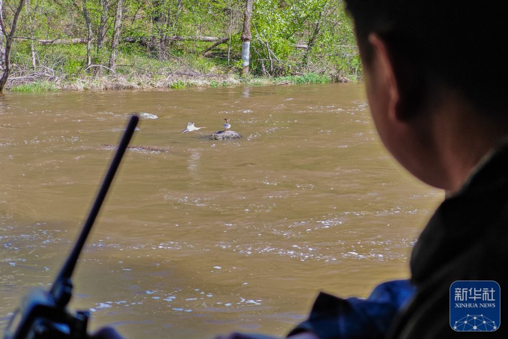 长白山“守山人”：只此青绿“长相守”