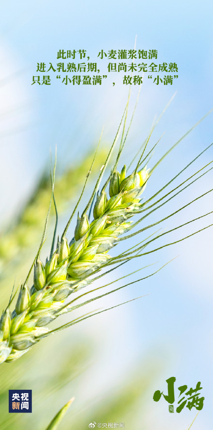 小满恰逢520，一起迎接！