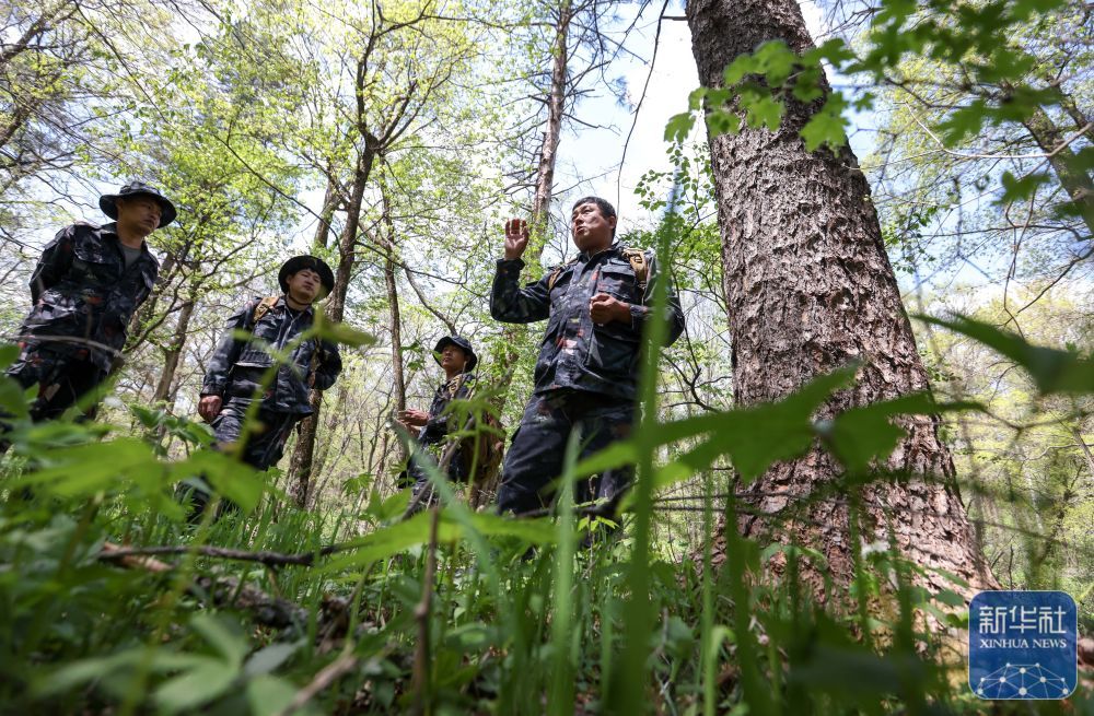 长白山“守山人”：只此青绿“长相守”