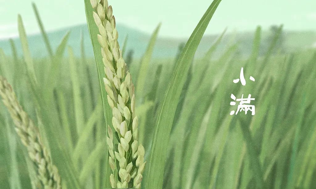 上海人注意：明起天气转折！阵雨或雷雨来袭，集中在这几天！