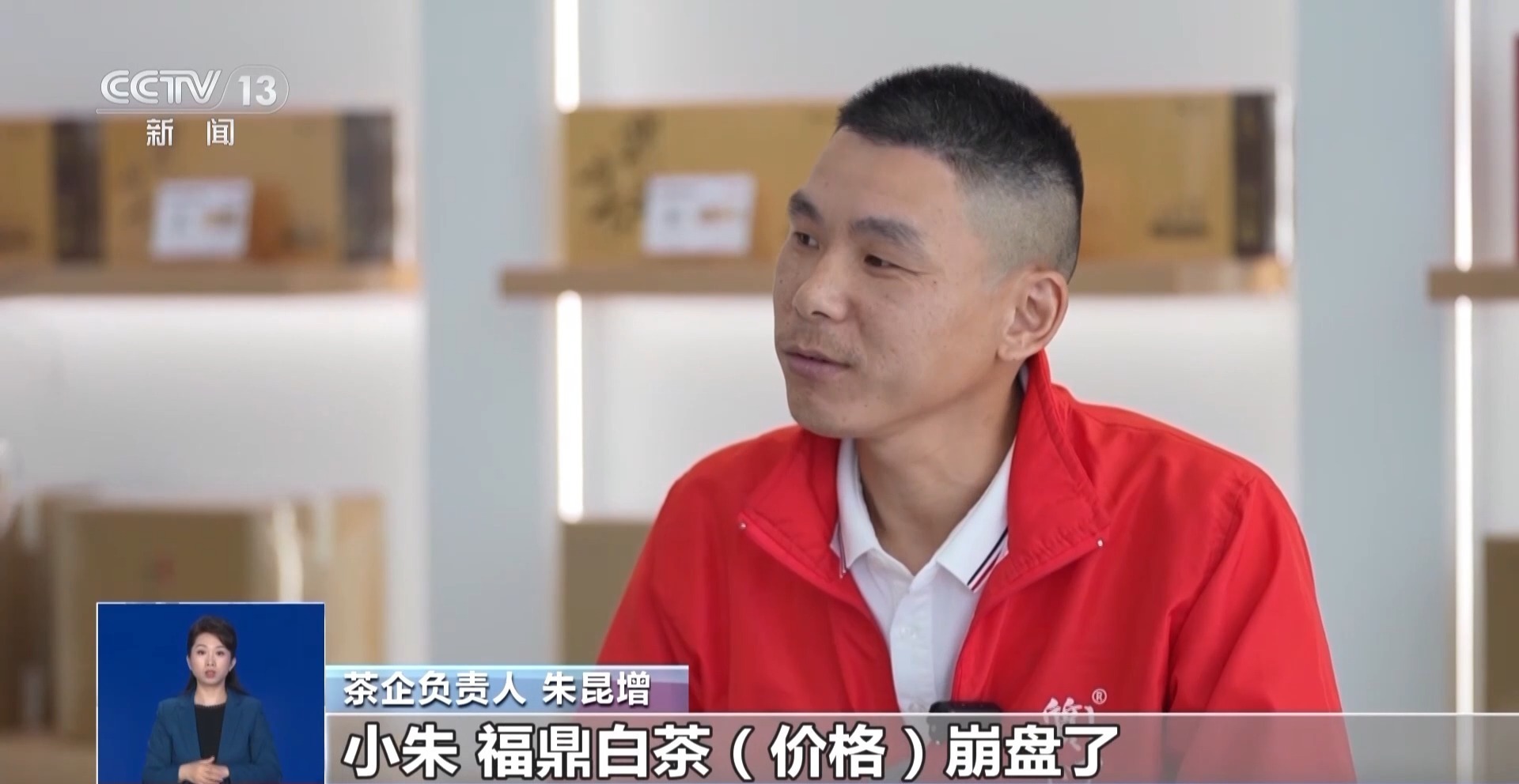 为博眼球无底线！福鼎白茶被造谣