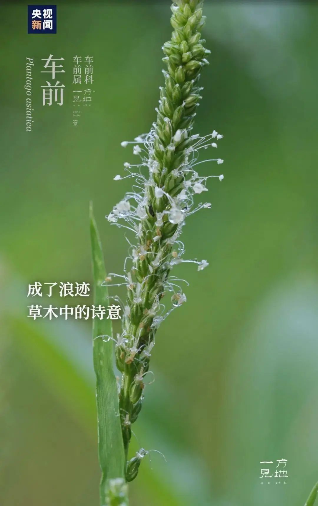 今日20时59分,正式进入 今日20时59分,正式进入