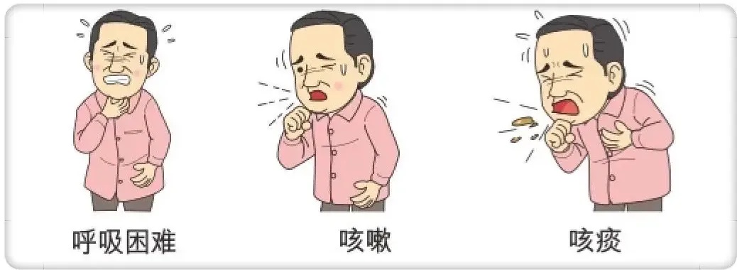 坚持锻炼2个月，你的呼吸肌会大不一样，中老年必看！