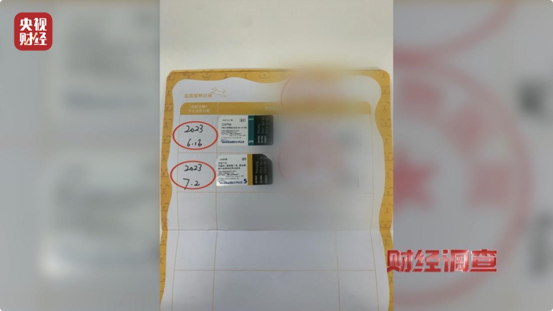 “到家一周就去世了”，直播间销售宠物背后有何秘密？