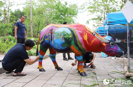 云南普洱牛体彩绘五彩斑斓
