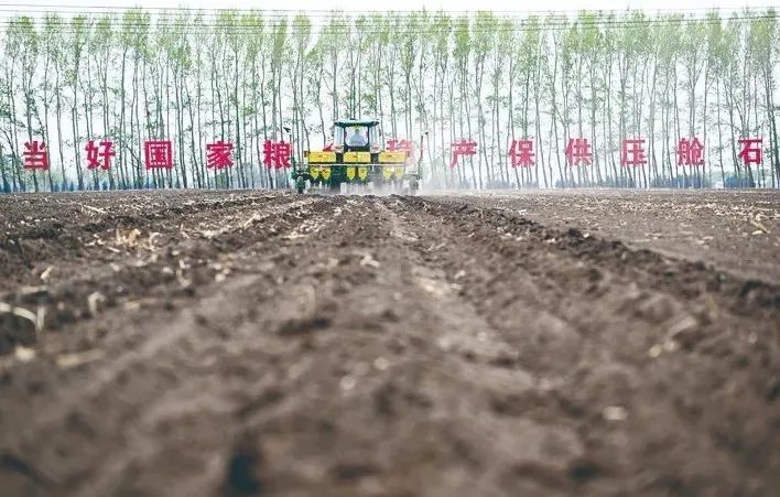 小满:万物始茂 盈而未满 小满:万物始茂 盈而未满