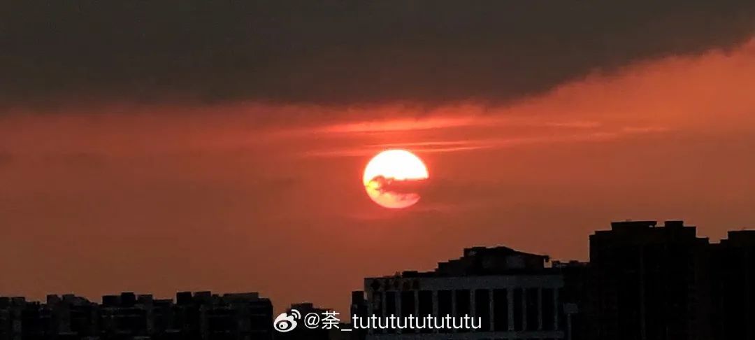 上海人注意：明起天气转折！阵雨或雷雨来袭，集中在这几天！