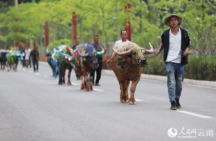 云南普洱牛体彩绘五彩斑斓