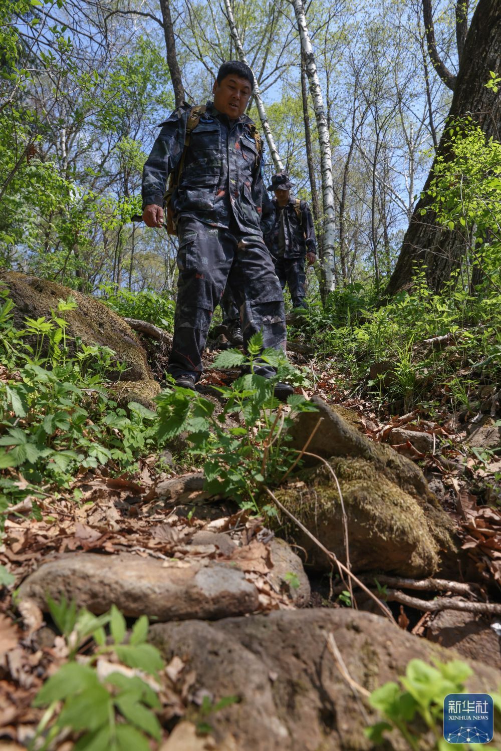 长白山“守山人”：只此青绿“长相守”