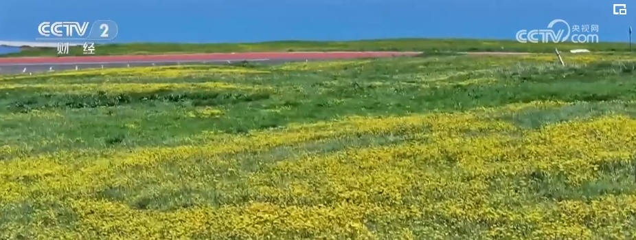 聚人气、消费旺！文旅市场释放“大效应” 经济回升向好底气足