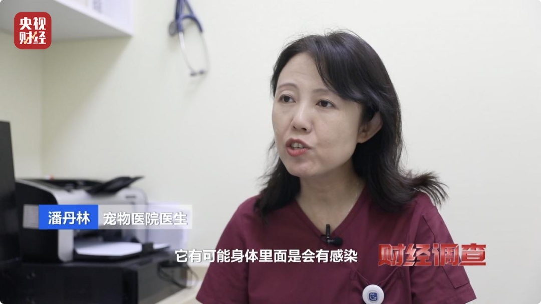 “到家一周就去世了”，直播间销售宠物背后有何秘密？