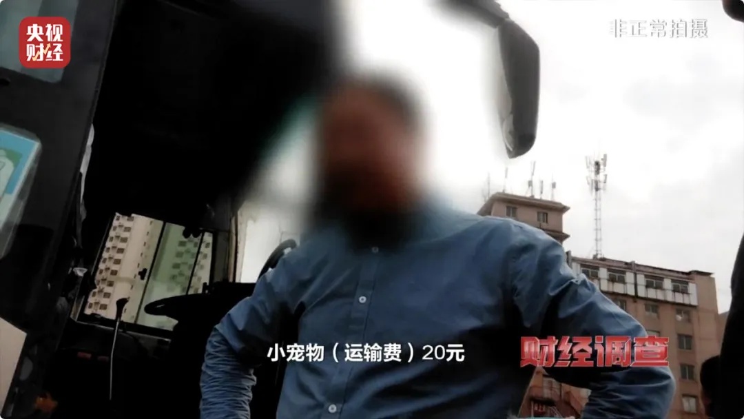 “到家一周就去世”?直播间销售宠物套路多多,通报:停业整顿,立案调查! “到家一周就去世”?直播间销售宠物套路多多,通报:停业整顿,立案调查!