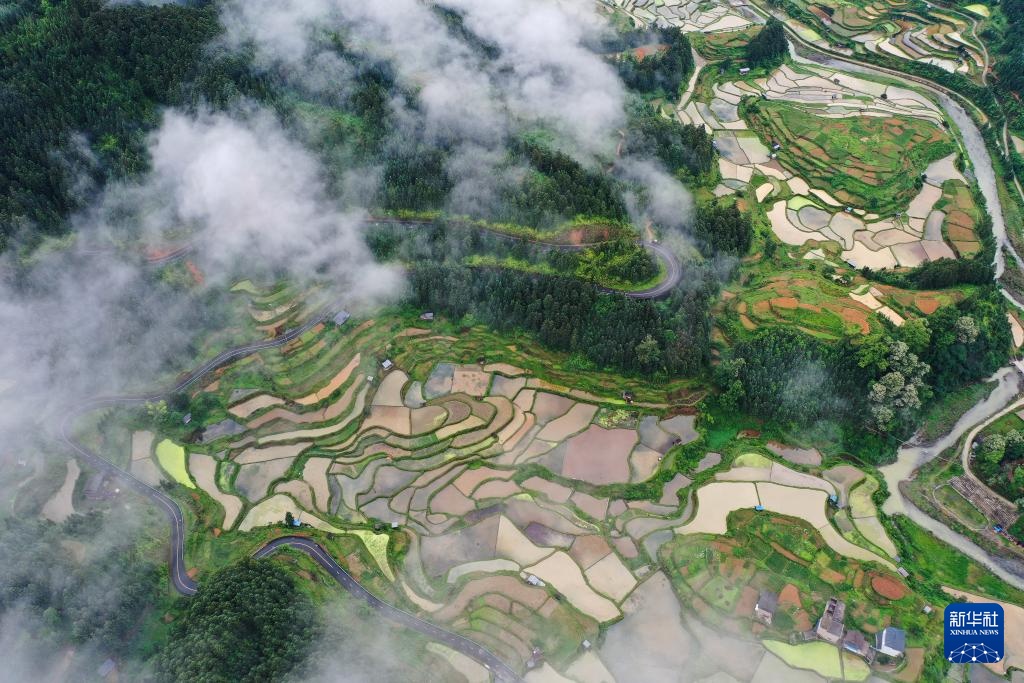 梯田新雨后 美景入画来 梯田新雨后 美景入画来