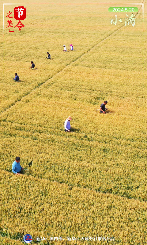 节令之美|小满遇上“520”,愿你圆圆满满 节令之美|小满遇上“520”,愿你圆圆满满