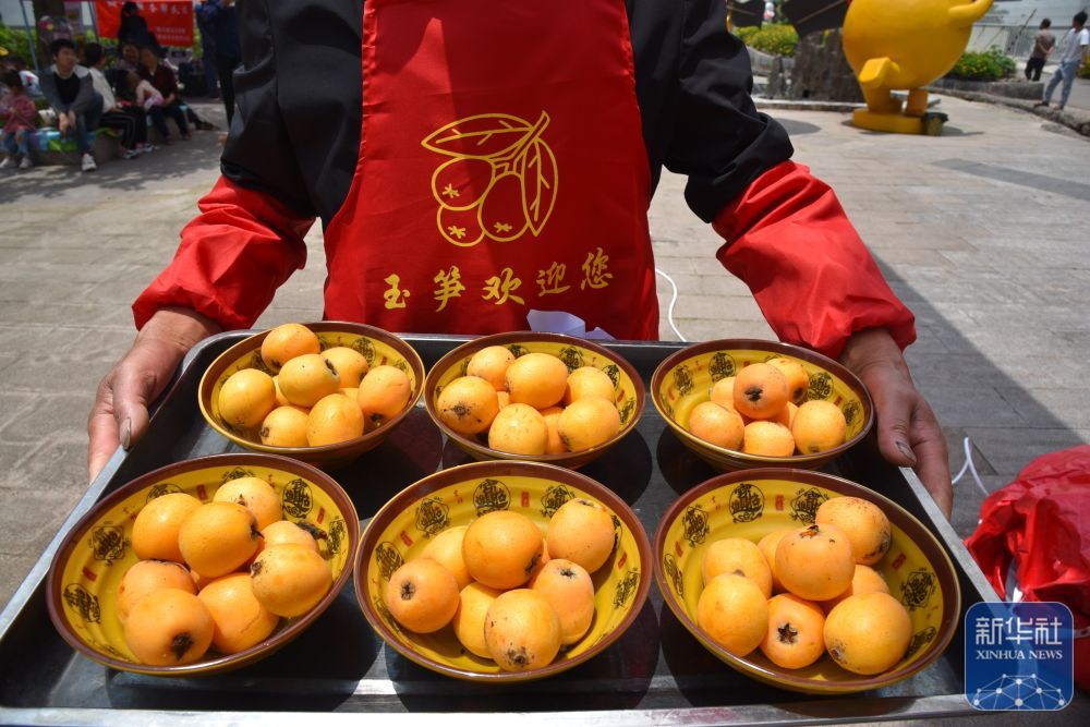 枇杷丰收引客来