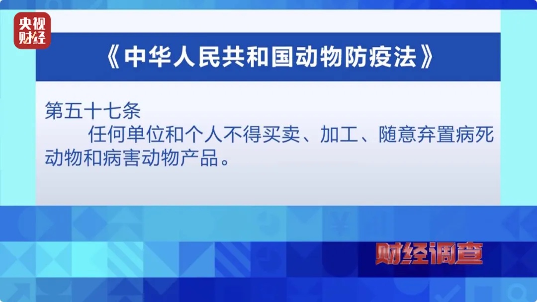 “到家一周就去世”?直播间销售宠物套路多多,通报:停业整顿,立案调查! “到家一周就去世”?直播间销售宠物套路多多,通报:停业整顿,立案调查!